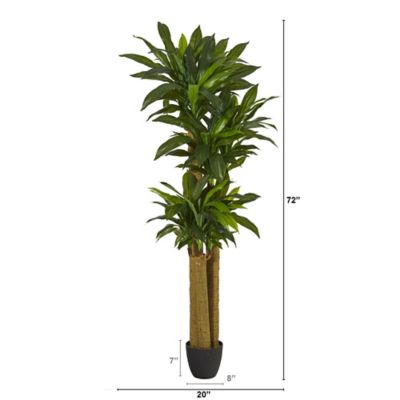 Image showing  Artificial 6 ft. Corn Stalk Dracaena Plant, Real Touch