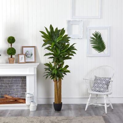 Image showing  Artificial 6 ft. Corn Stalk Dracaena Plant, Real Touch