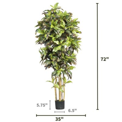 Image showing  6 ft. Artificial Croton Silk Tree