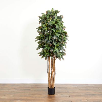 Image showing  6 ft. Artificial Croton Silk Tree