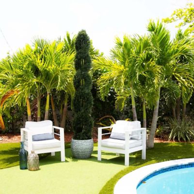 Image showing  8 ft. Artificial Double Pond Cypress Spiral Topiary, UV Resistant, Indoor/Outdoor