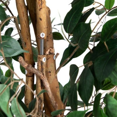 Image showing  10 ft. Artificial Ficus Tree, T4766