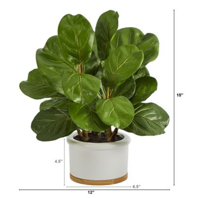 Image showing  Artificial 15 in. Fiddle Leaf Tree in White Planter
