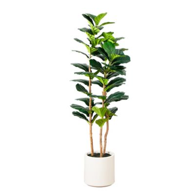 Nearly Natural 5 ft. Artificial Fiddle Leaf Tree in Decorative White Planter