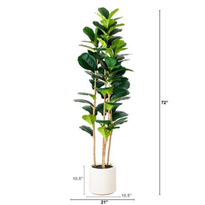Image showing  6 ft. Artificial Fiddle Leaf Tree in Decorative White Planter