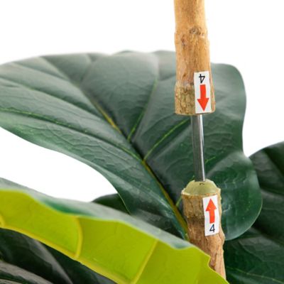 Image showing  6 ft. Artificial Fiddle Leaf Tree in Decorative White Planter