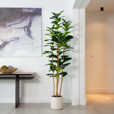 Image showing 6 th Nearly Natural 7 ft. Artificial Fiddle Leaf Tree in Decorative White Planter