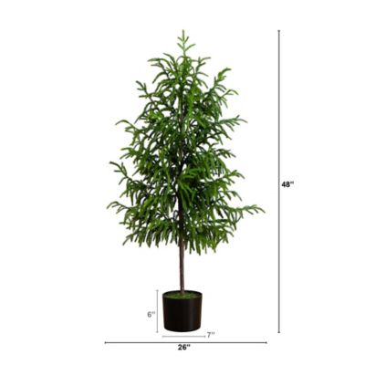 Image showing  4 ft. Artificial Norfolk Pine Tree