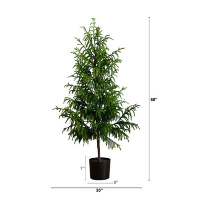Image showing  5 ft. Artificial Norfolk Pine Tree