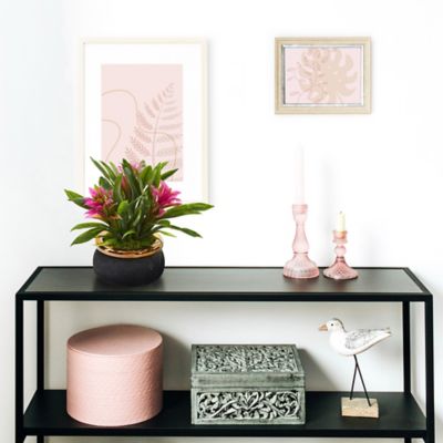 Image showing  11 in. Bromeliad Artificial Plant in Stoneware Planter, P1014-PP