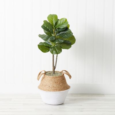 Image showing 6 th Nearly Natural 3 ft. Artificial Fiddle Leaf Fig Tree with Handmade Cotton & Jute Woven Basket DIY Kit, Green, P1907-WH