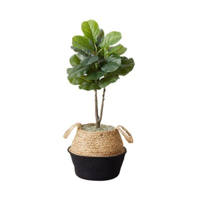 Image showing  3 ft. Artificial Fiddle Leaf Fig Tree with Handmade Cotton & Jute Woven Planter DIY Kit, 2 pc., P1908-S2-BK