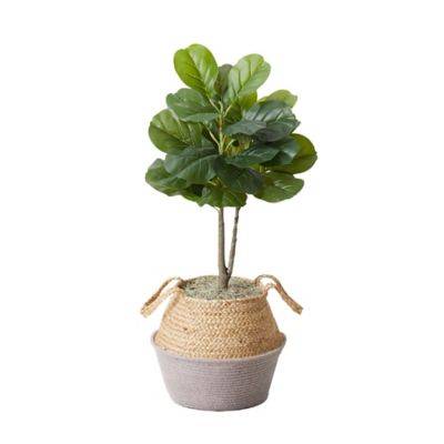 Image showing  3 ft. Artificial Fiddle Leaf Fig Tree with Handmade Cotton & Jute Woven Planter DIY Kit, 2 pc., P1908-S2-GA