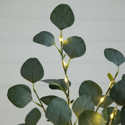 Image showing  5 ft. Pre-Lit Artificial Eucalyptus Tree