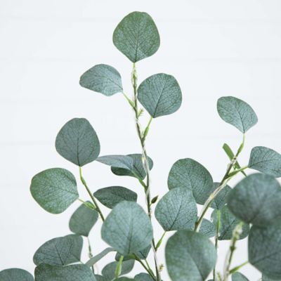 Image showing  5 ft. Pre-Lit Artificial Eucalyptus Tree