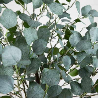 Image showing  6 ft. Pre-Lit Artificial Eucalyptus Tree