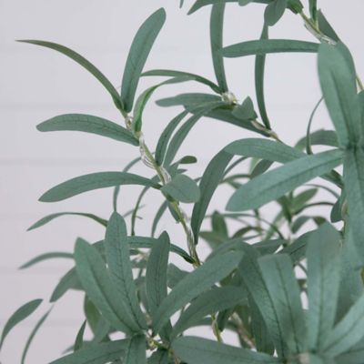 Image showing  5 ft. Pre-Lit Artificial Olive Tree with Warm White LED Lights
