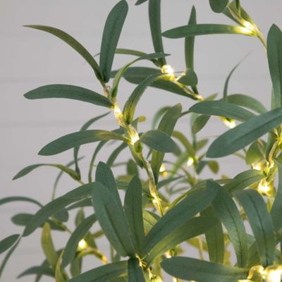 Image showing  5 ft. Pre-Lit Artificial Olive Tree with Warm White LED Lights