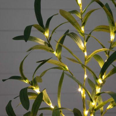 Image showing  2 ft. Pre-Lit Artificial Olive Tree with Warm White LED Lights