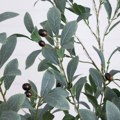 Image showing  5 ft. Pre-Lit Artificial Fruiting Olive Tree with Warm White LED Lights