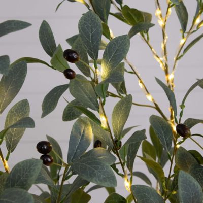 Image showing  5 ft. Pre-Lit Artificial Fruiting Olive Tree with Warm White LED Lights