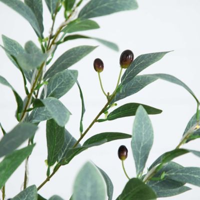Image showing  6 ft. Pre-Lit Artificial Fruiting Olive Tree with Warm White LED Lights