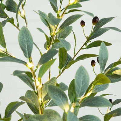 Image showing  6 ft. Pre-Lit Artificial Fruiting Olive Tree with Warm White LED Lights