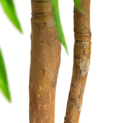 Image showing  5 ft. Artificial Willow Tree, Real Touch