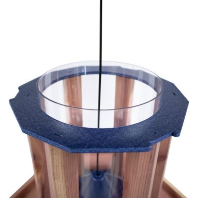 Image showing  Amish Made Cedar & Recycled Plastic Gazebo Feeder, Blue