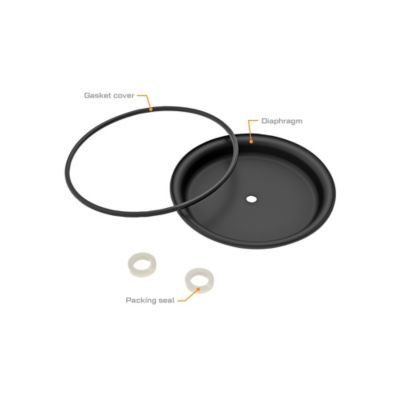 GPI DP-20 Diaphragm Kit
