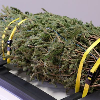 Image showing 5 th Wrap-It Cam Straps