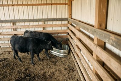 Image showing  2 ft. Triangle Trough