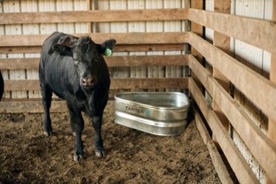 Image showing  2 ft. Triangle Trough