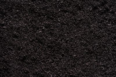Image showing  2 qt. Biochar