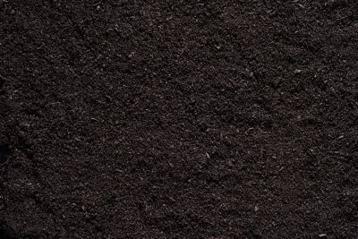 Image showing  2 qt. Biochar with CarbonBoost