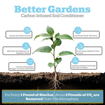 Image showing  2 qt. Biochar with CarbonBoost