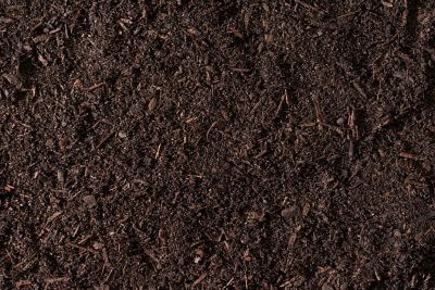 Image showing  4 qt. of Biochar for Garden