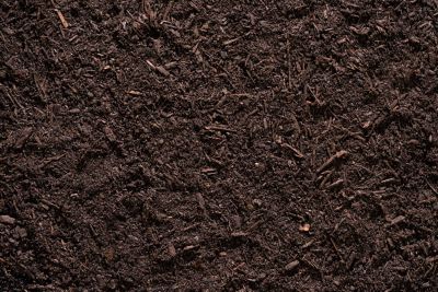 Image showing  2 qt. Biochar for Tomato and Vegetables