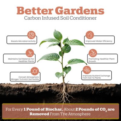 Image showing  2 qt. Biochar for Tomato and Vegetables