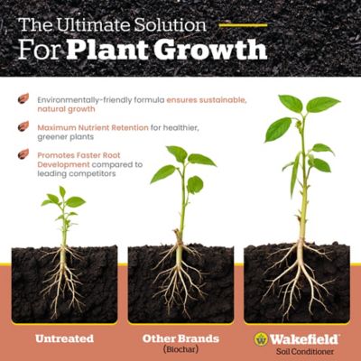 Image showing  4 qt. Biochar for Tomatos and Vegetables