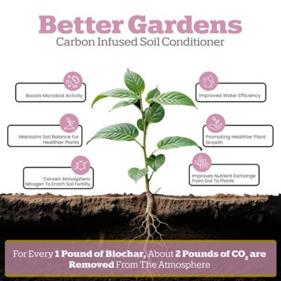 Image showing 6 th Wakefield BioChar 2 qt. Biochar for Indoor Plants