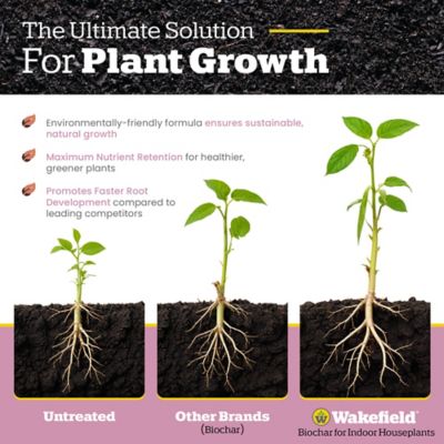 Image showing  4 qt. Biochar for Indoor Plants
