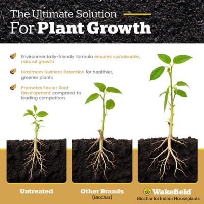 Image showing 6 th Wakefield BioChar 2 qt. Biochar for Cactus and Succulents