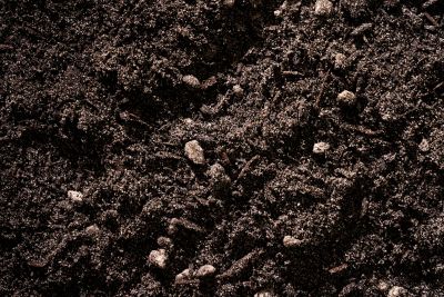 Image showing  4 qt. Biochar for Cactus and Succulents