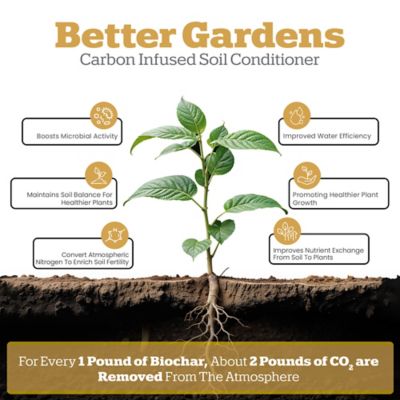 Image showing  4 qt. Biochar for Cactus and Succulents