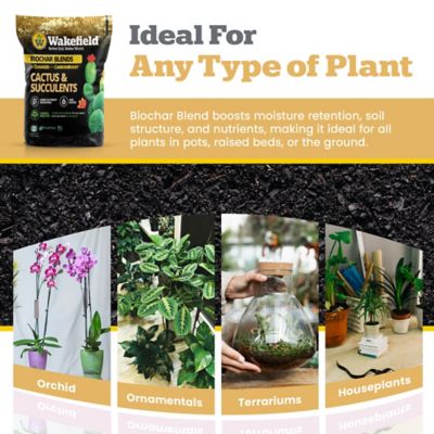 Image showing 5 th Wakefield BioChar 4 qt. Biochar for Cactus and Succulents