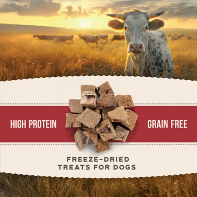Image showing  Beef Liver Bites High-Protein Freeze-Dried Dog Treats, 5.3 oz.