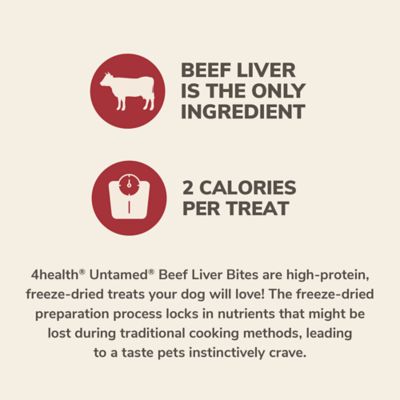 Image showing  Beef Liver Bites High-Protein Freeze-Dried Dog Treats, 5.3 oz.