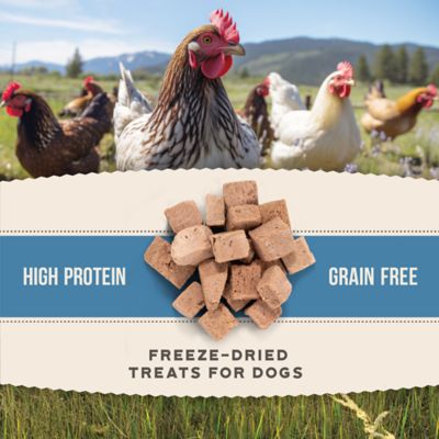 Image showing  Chicken Bites High-Protein Freeze-Dried Dog Treats, 4.4 oz.