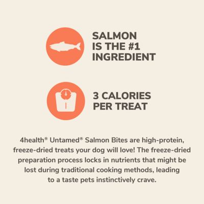 Image showing  Salmon Bites High-Protein Freeze-Dried Dog Treats, 3.1 oz.